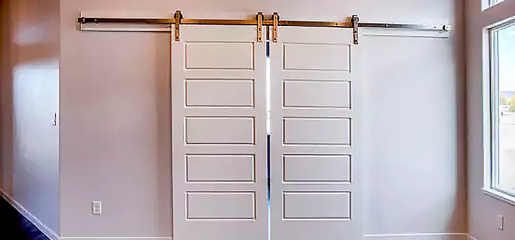 Glass Barn Door with Installation Hardware Kit St. Paul