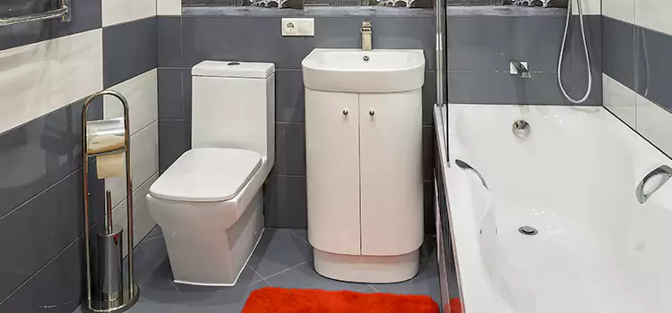 Hansgrohe Shaving Mirror St. Paul
