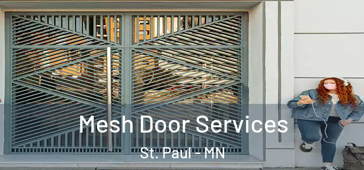 Mesh Door Services St. Paul - MN