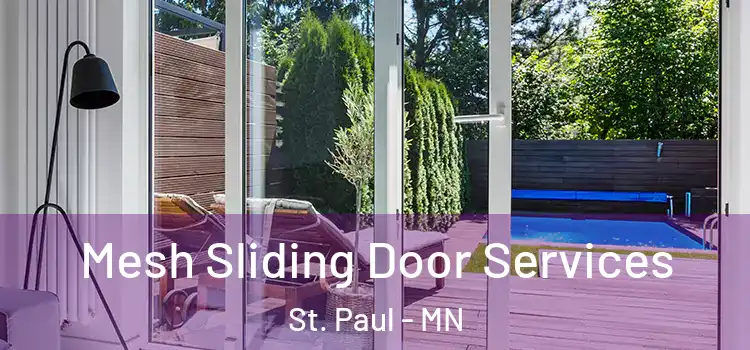 Mesh Sliding Door Services St. Paul - MN